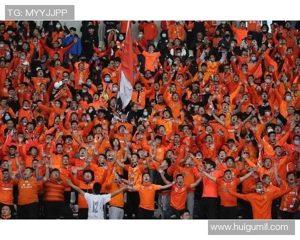 法国与爱尔兰激战正酣比赛结果引发球迷热议与期待