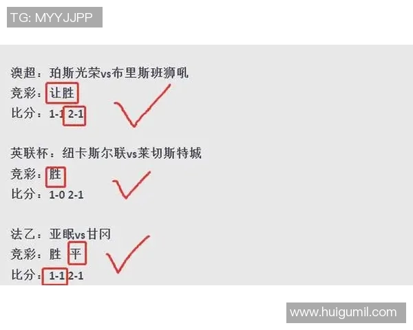 狼队与诺维奇对决前瞻分析及比赛结果预测